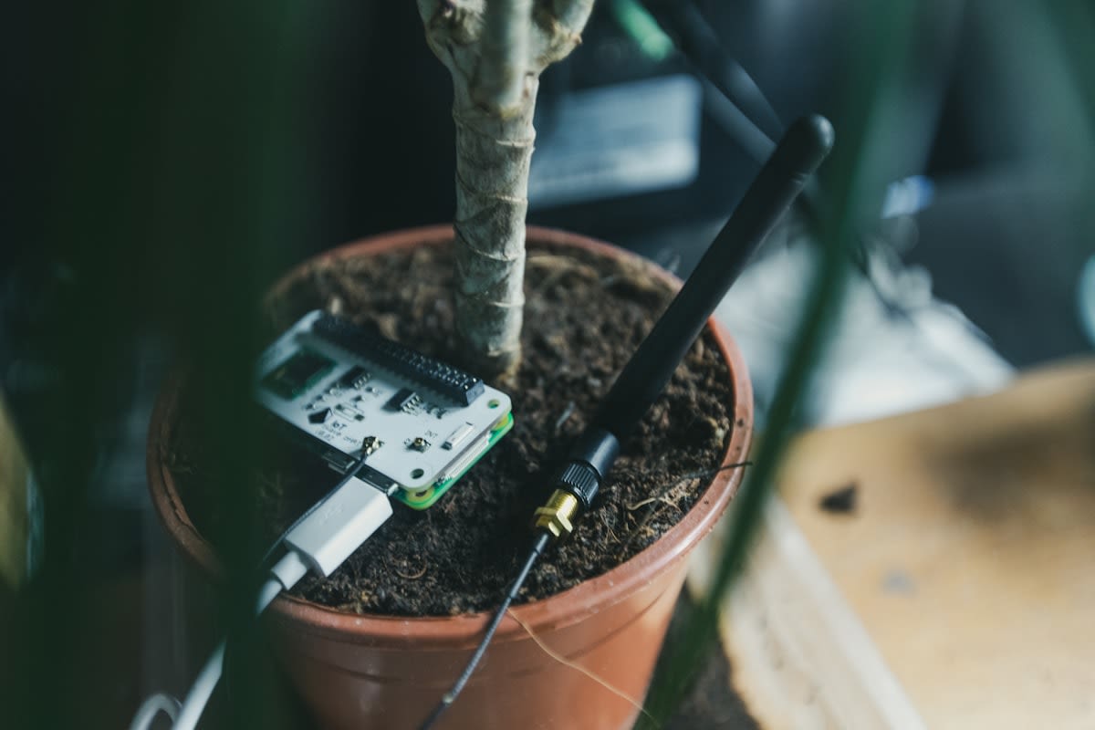 IoT sensors monitoring plant health