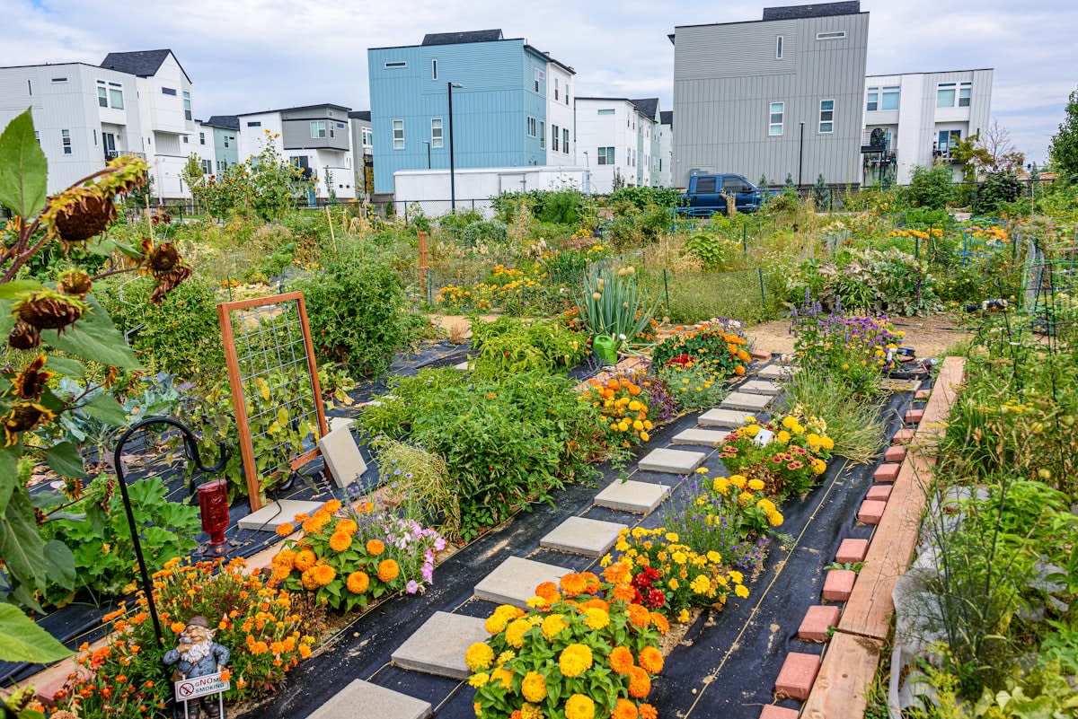 modern collective housing with communal gardens