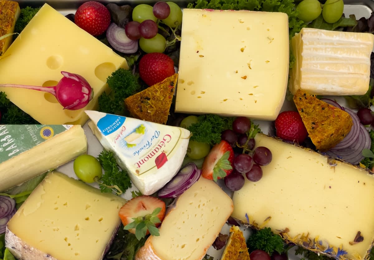 close up of gourmet cheese and dairy products