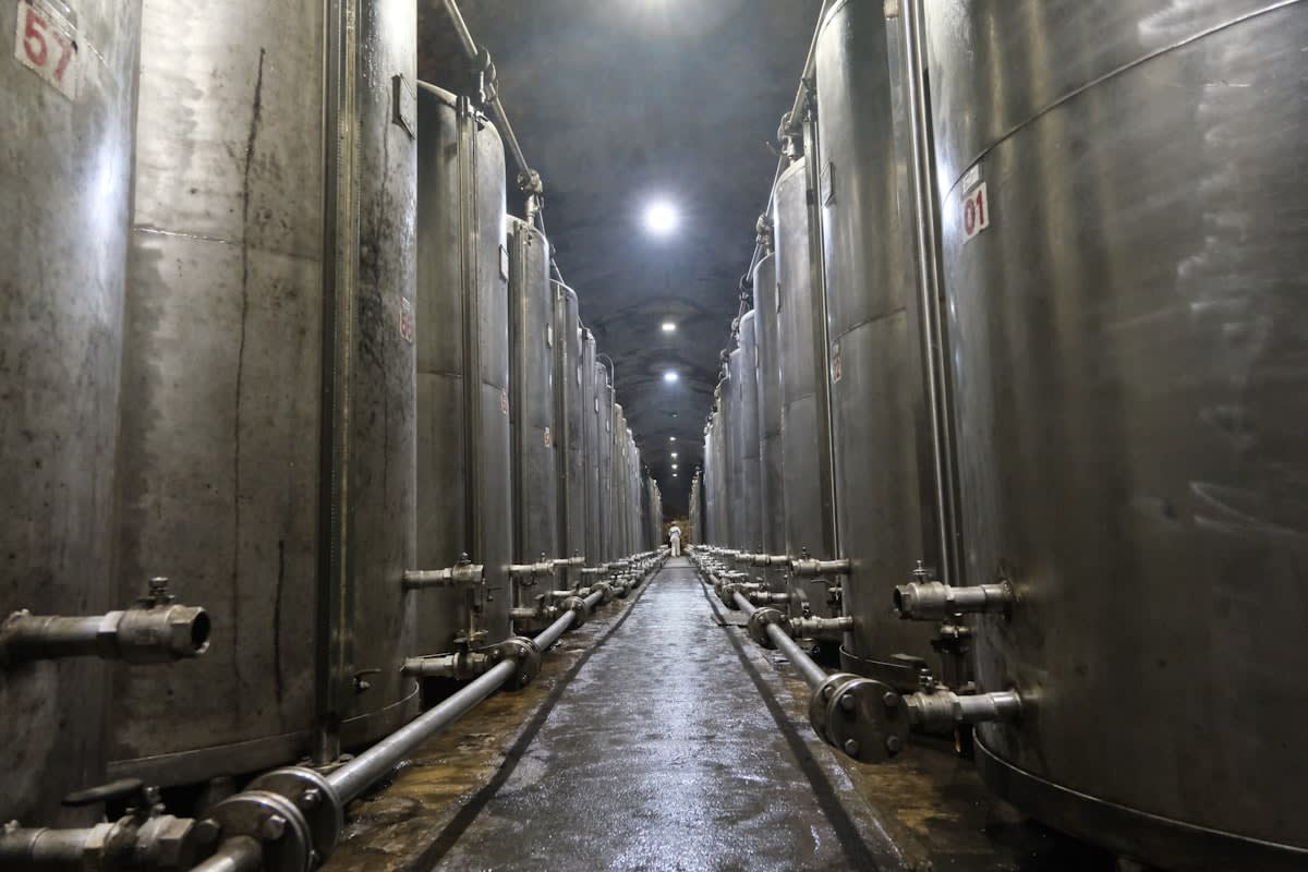 Industrial bioreactors and fermentation tanks