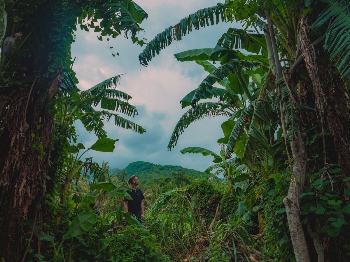 person walking through a lush green landscape with a reusable water bottle