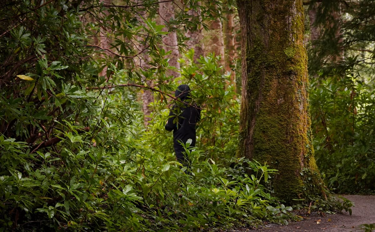 A person walking through a dense forest