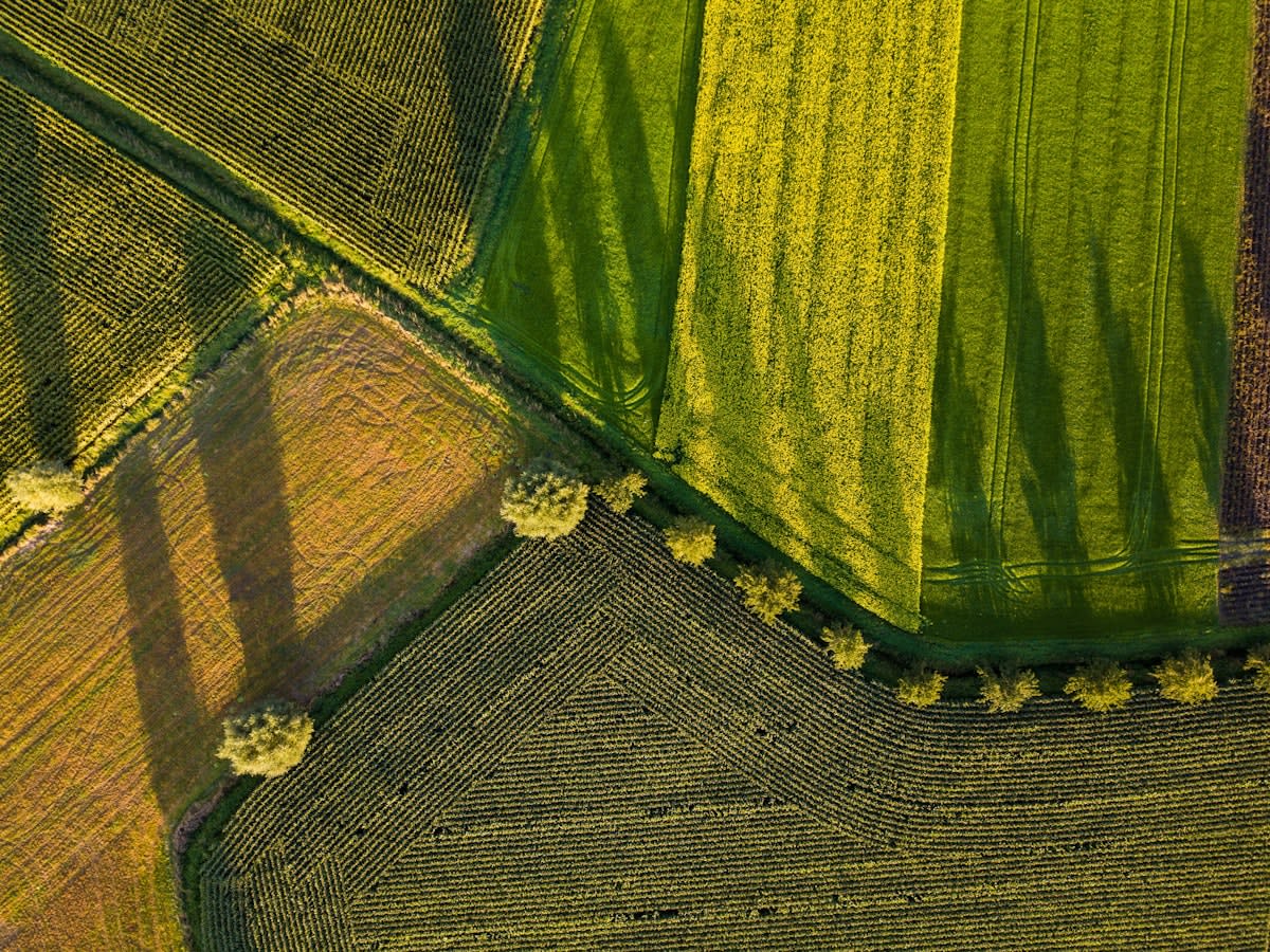 Aerial view of diverse crop rotation fields