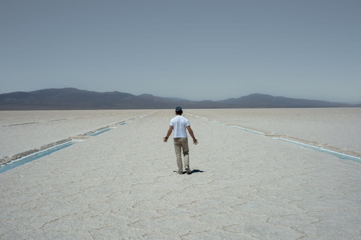 A person staring at a vast, empty landscape