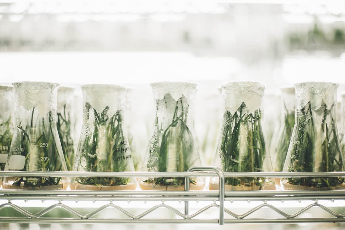 Modern food laboratory focusing on sustainable protein extraction