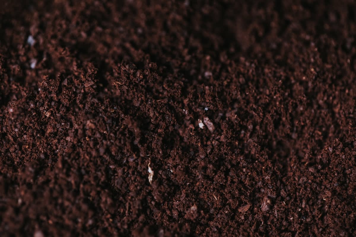 Close up of healthy dark compost soil