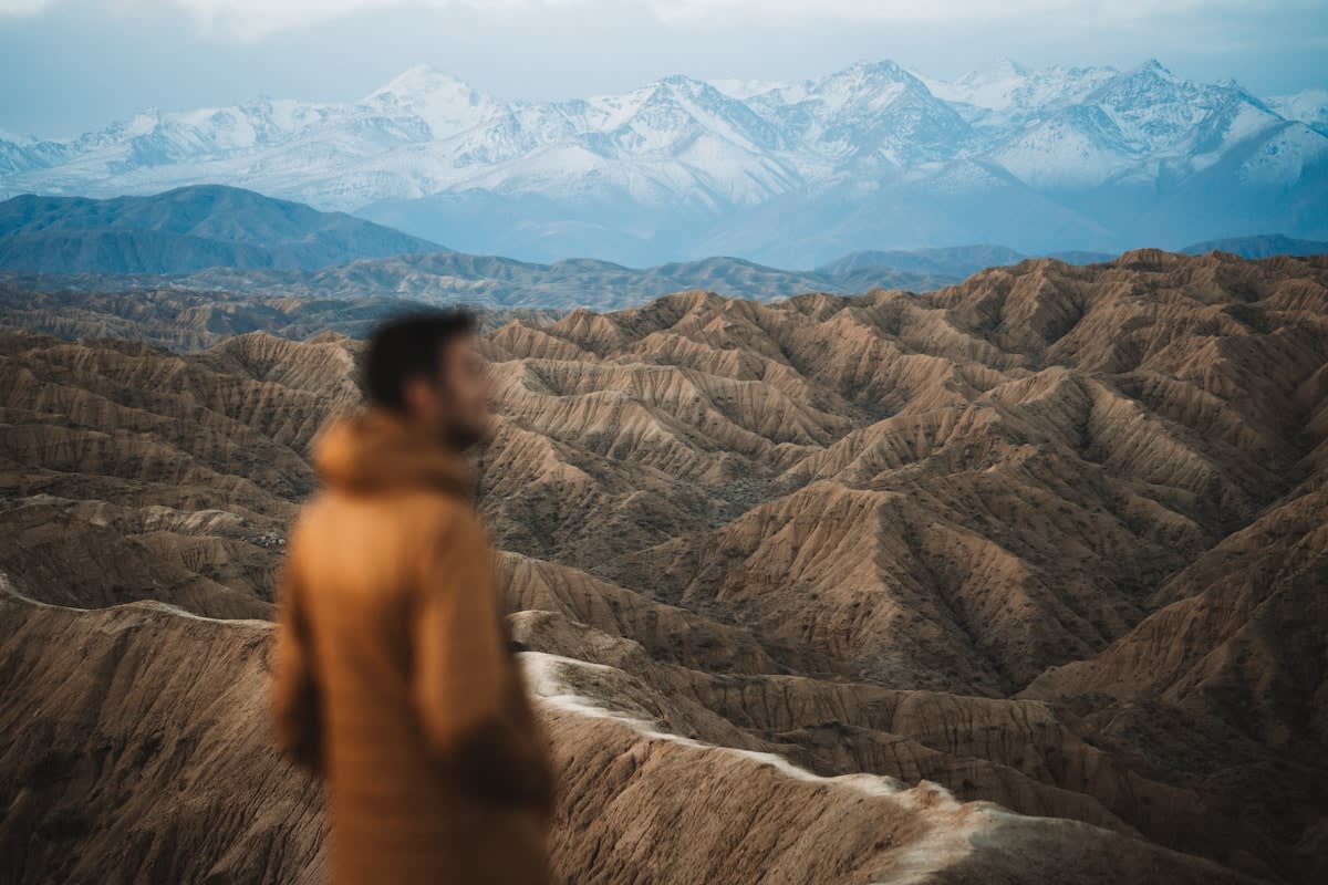 A person standing at the edge of a vast landscape looking forward