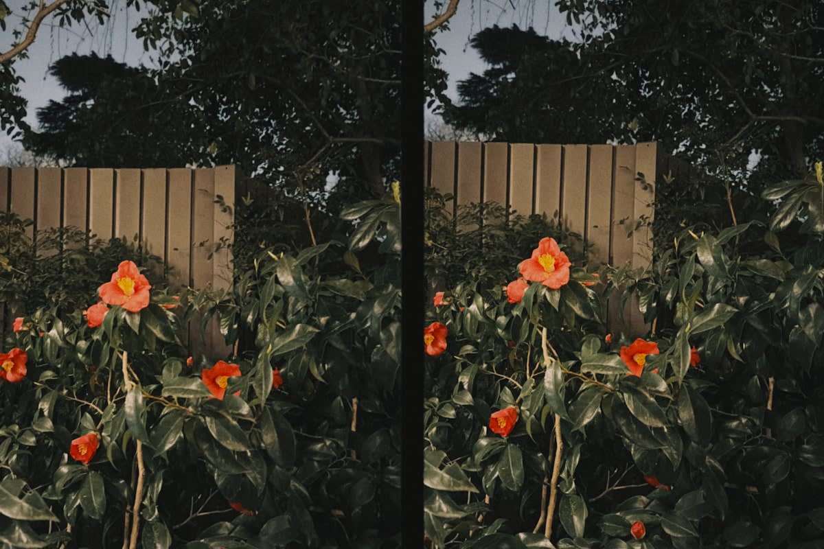 Comparison of a highly filtered photo and a raw, unedited candid photo