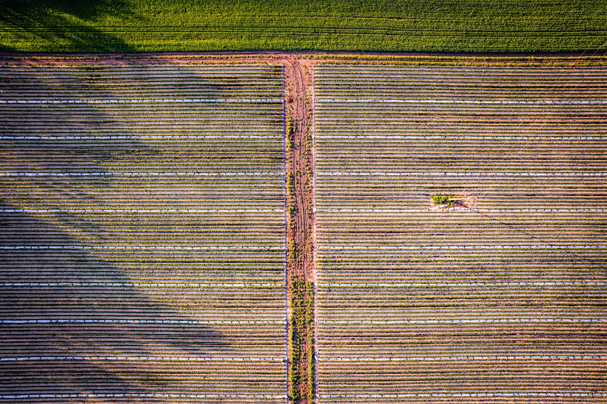 Digital map of agricultural plots