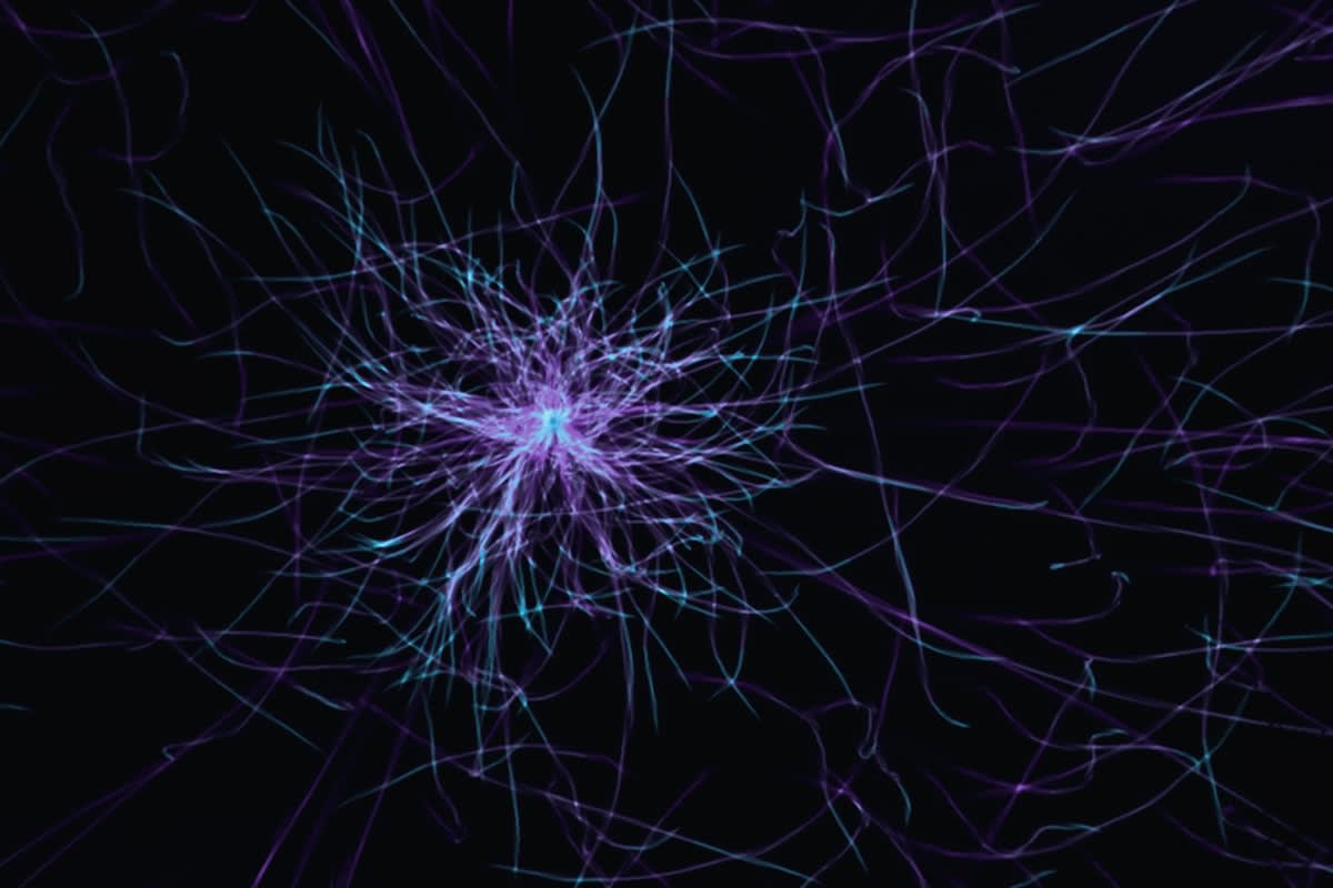 Detailed neural network visualization