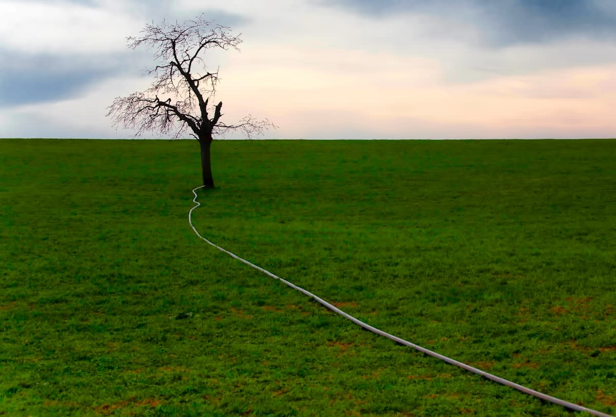 A visual representation of a decision tree showing a direct path to a 'good enough' result versus a winding path to an 'optimal' result