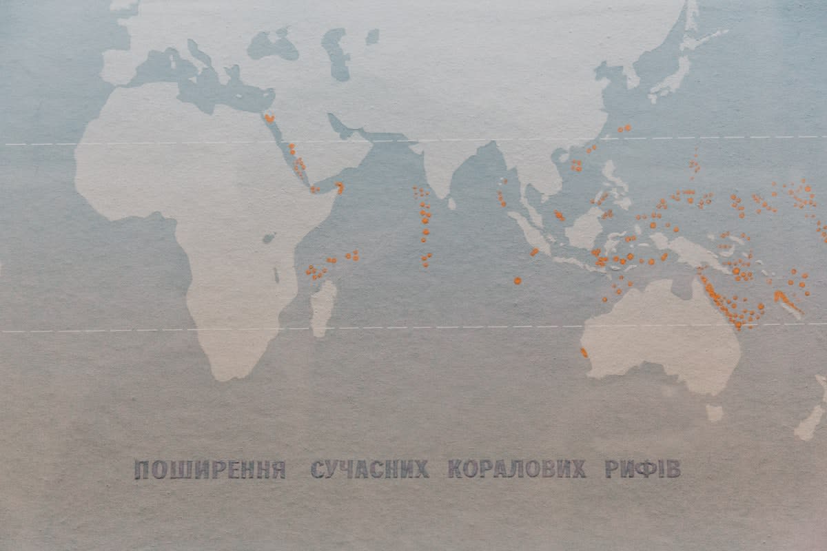 Global network of underwater fiber optic cables map
