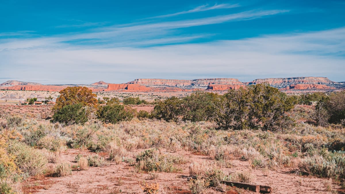 a wide open desert landscape under a clear sky