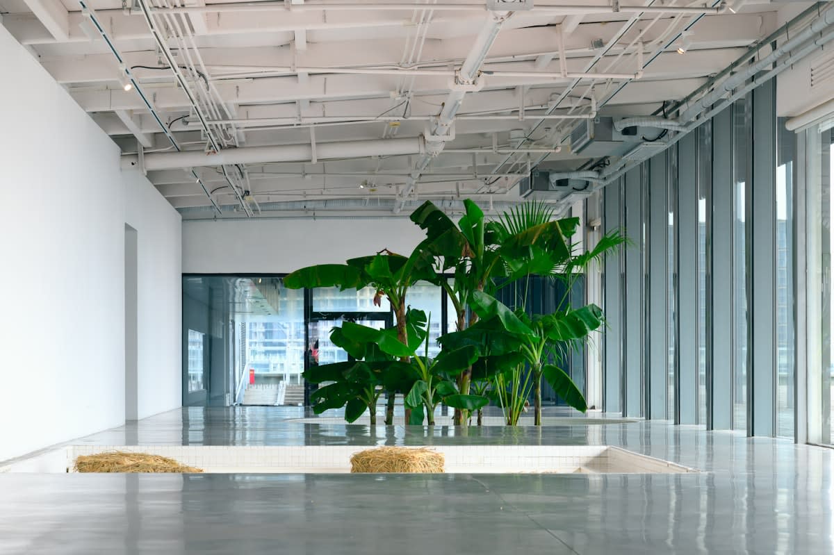minimalist modern office interior with white walls and plants
