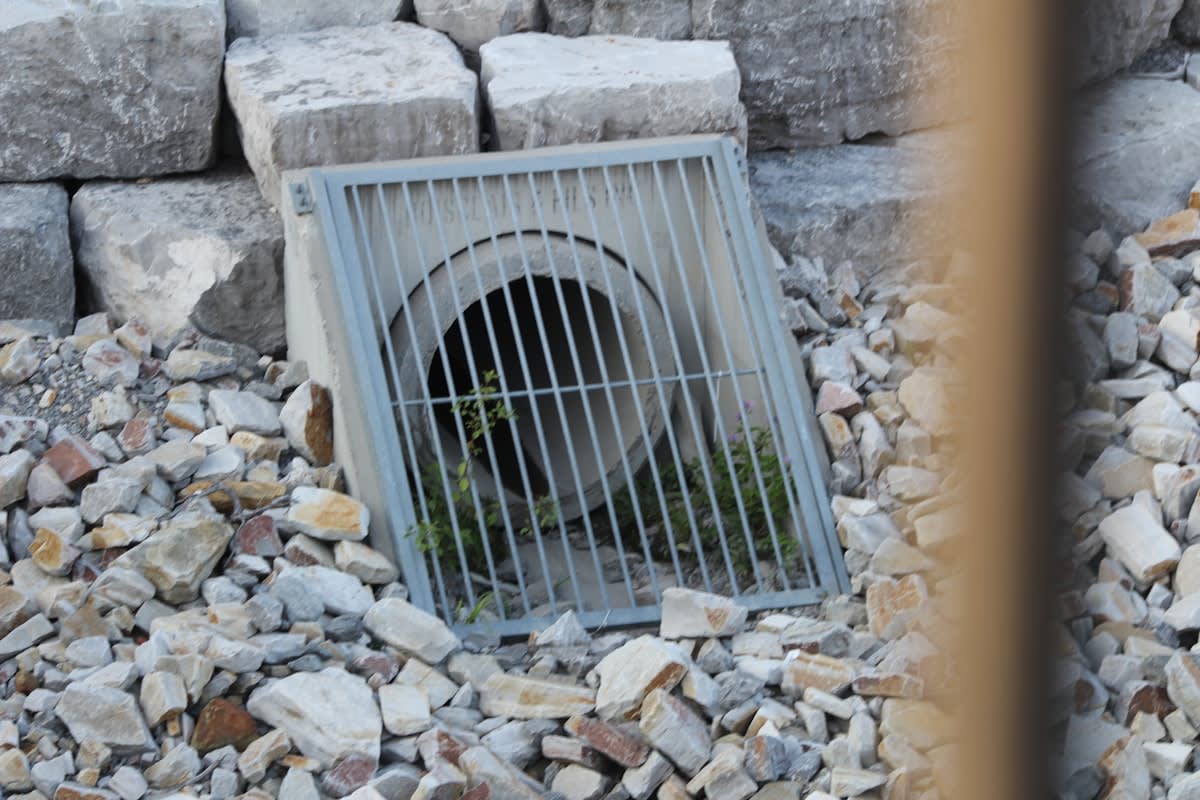 modern sustainable urban drainage system with native plants