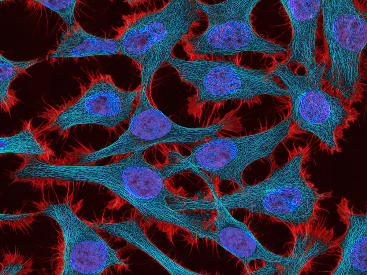 Abstract cellular energy visualization