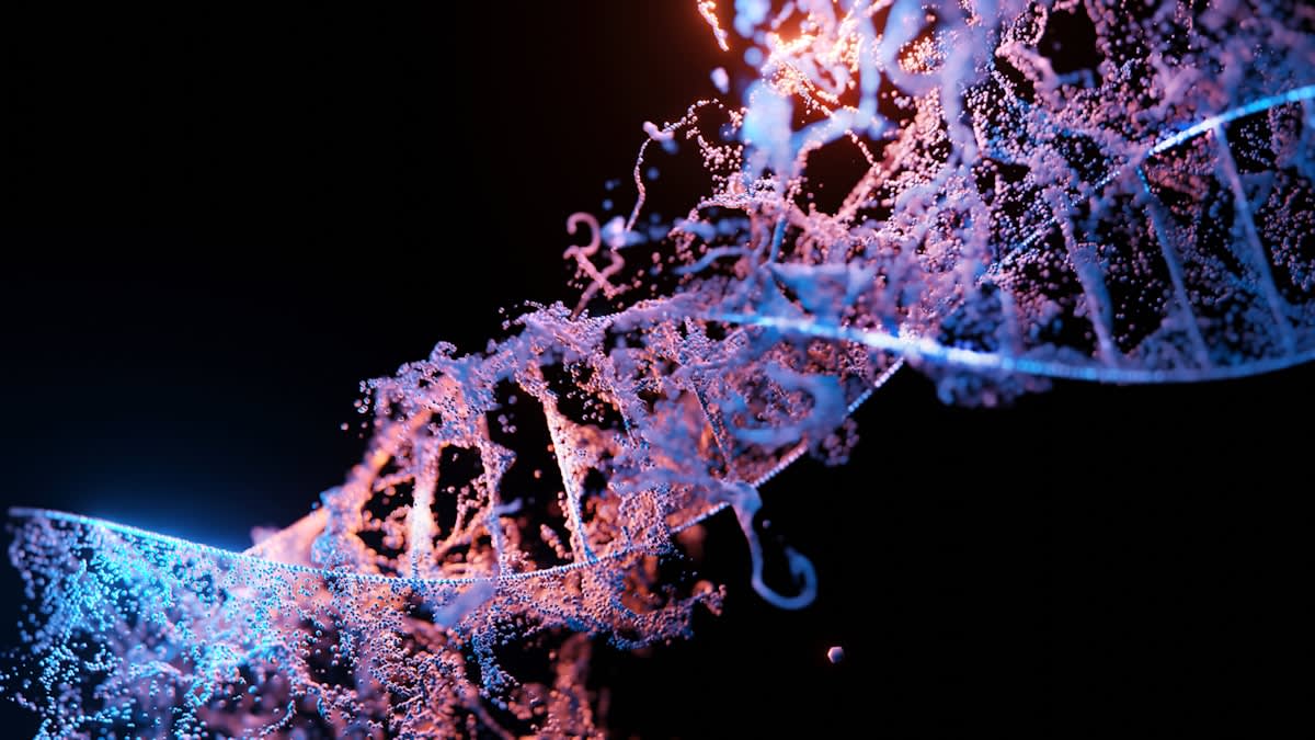 DNA methylation and epigenetic clock visualization