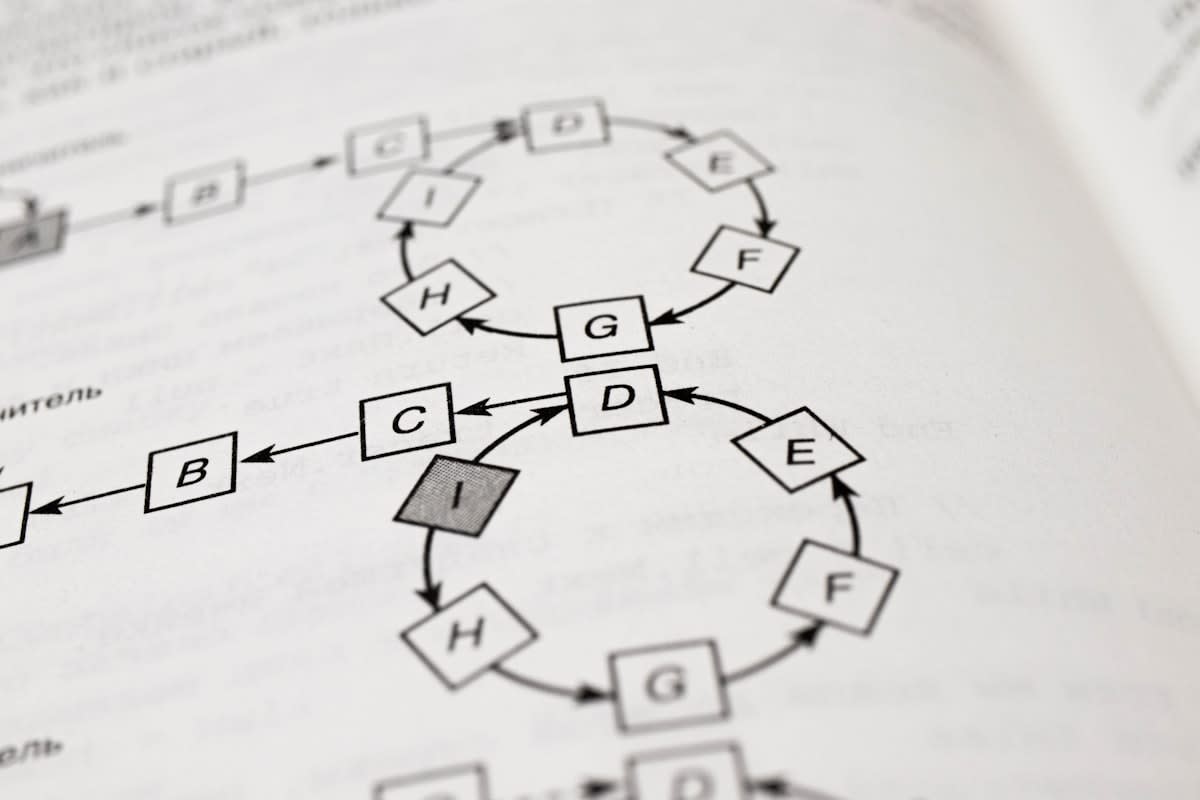 Health optimization loop diagram