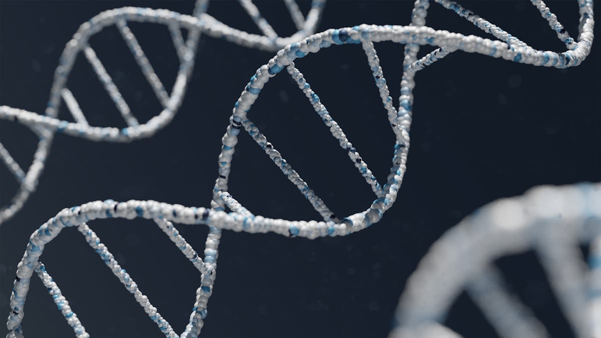 DNA double helix visualization