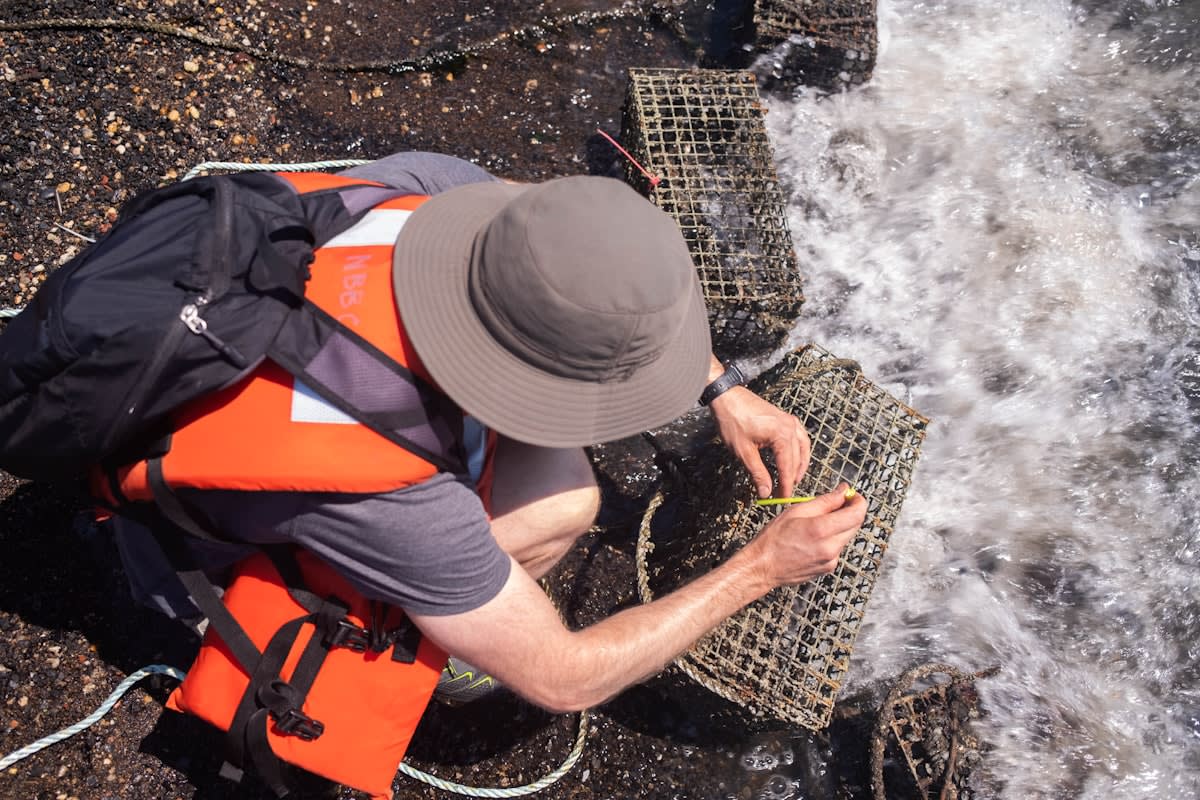 scientist collecting water sample from a river