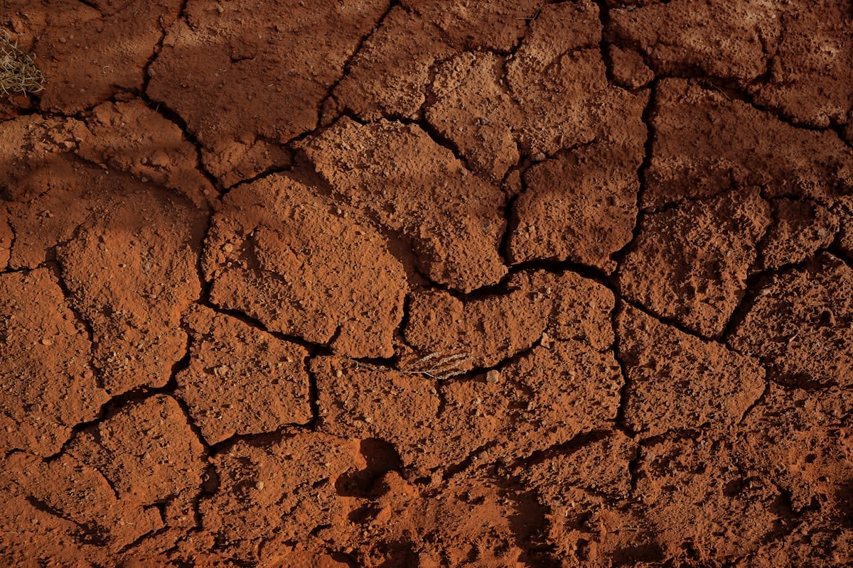 Dry cracked earth with salt deposits