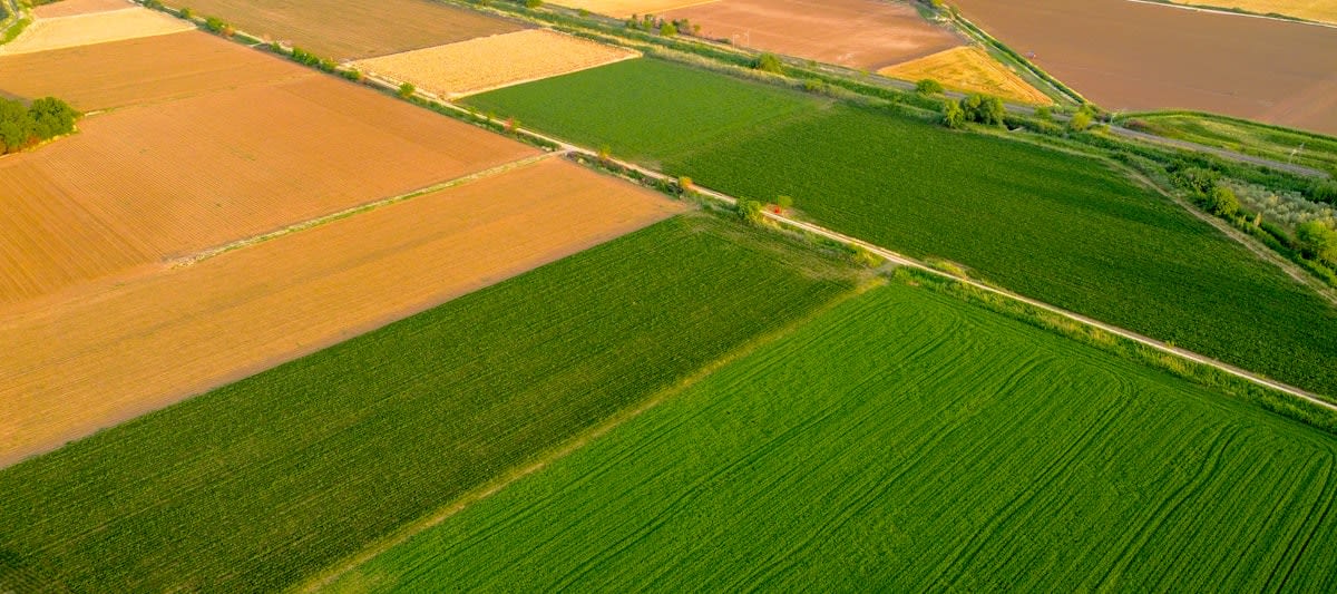 Agricultural drone scanning fields