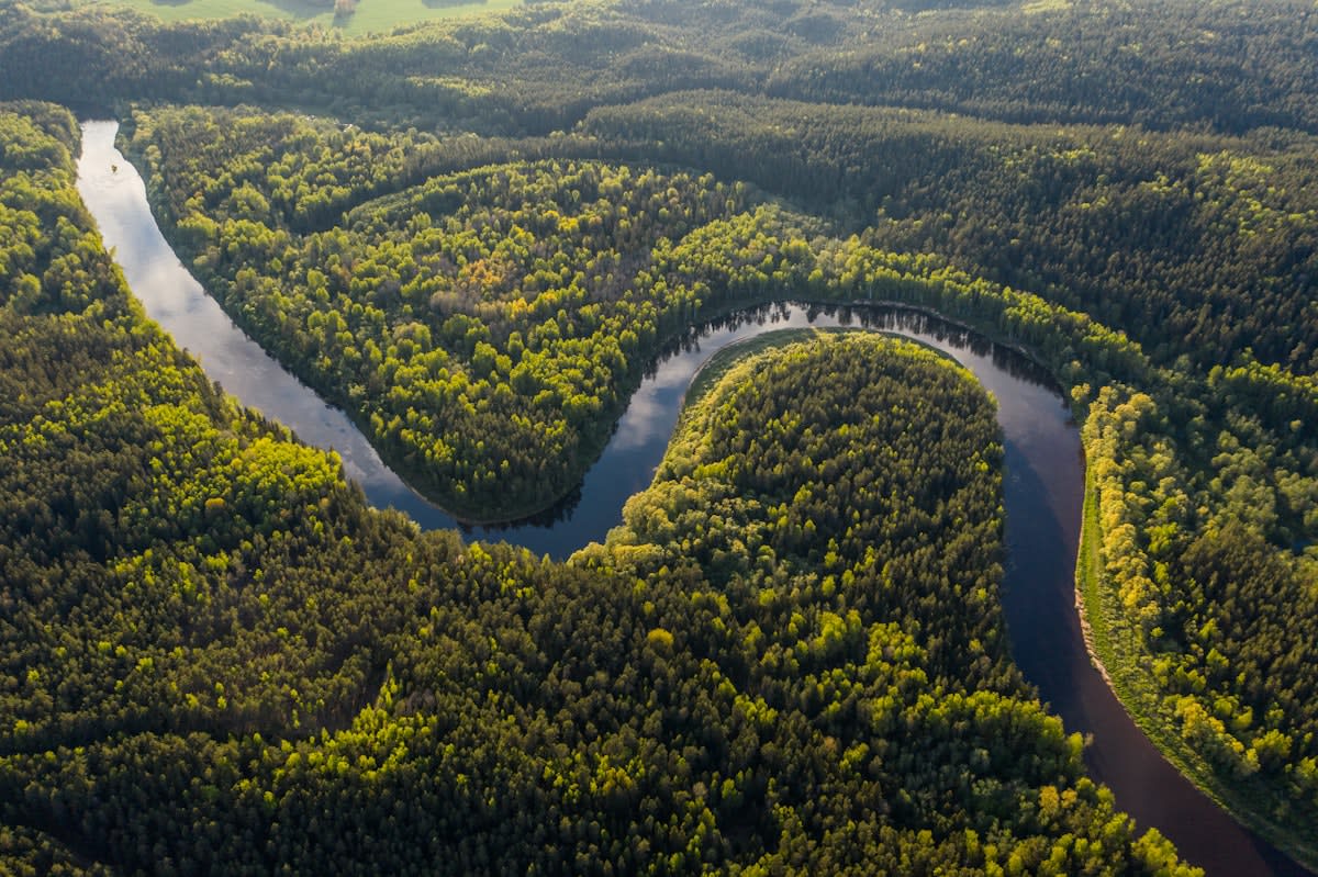 Aerial view of a winding river through a lush forest