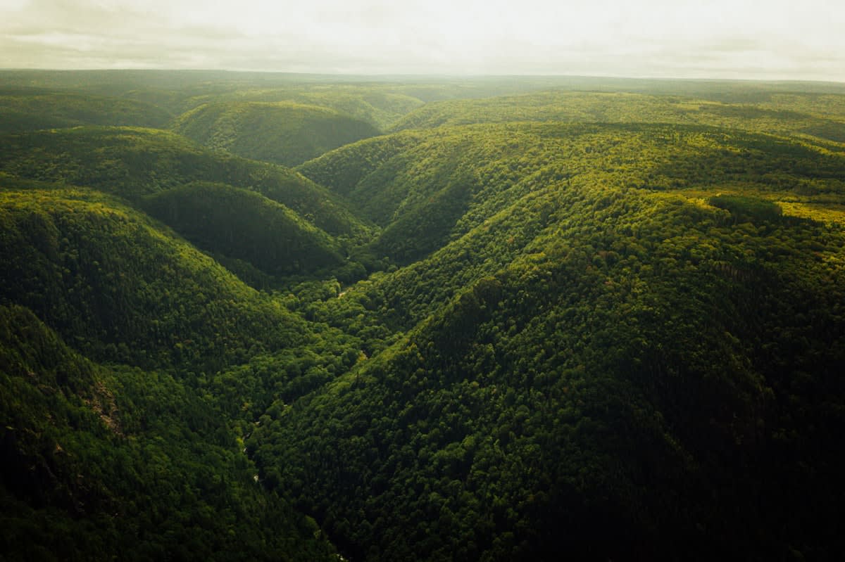 Lush green mountains and valley