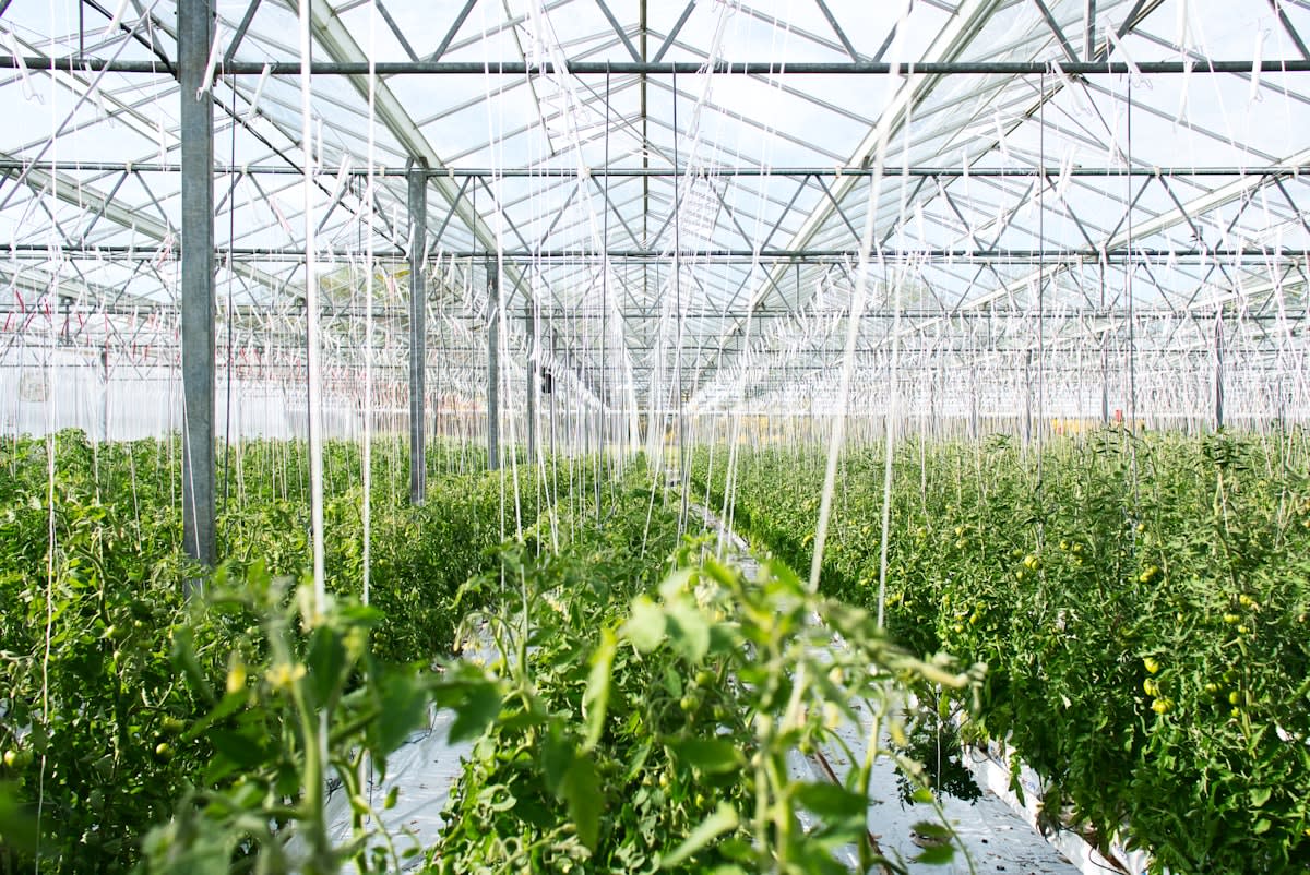 Industrial bioreactor for cellular agriculture