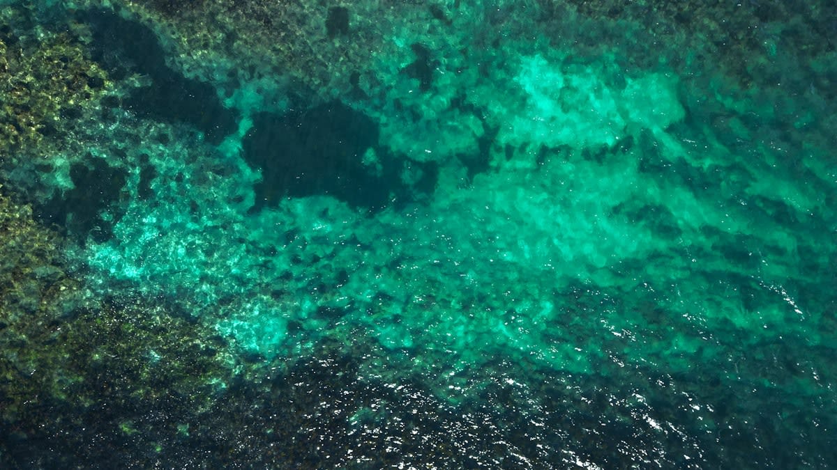 Aerial view of a bleached coral reef