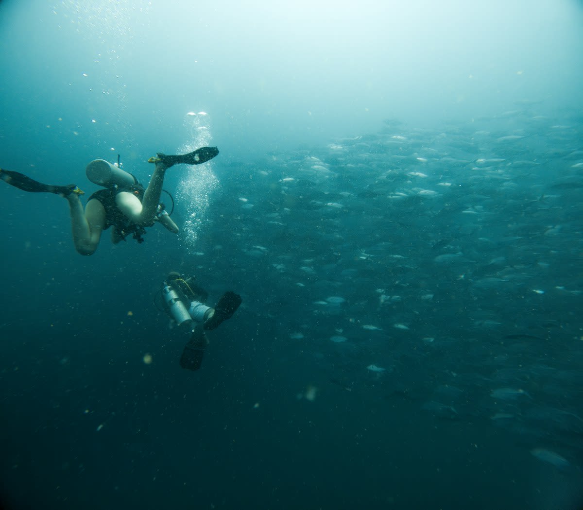 deep sea abyss landscape