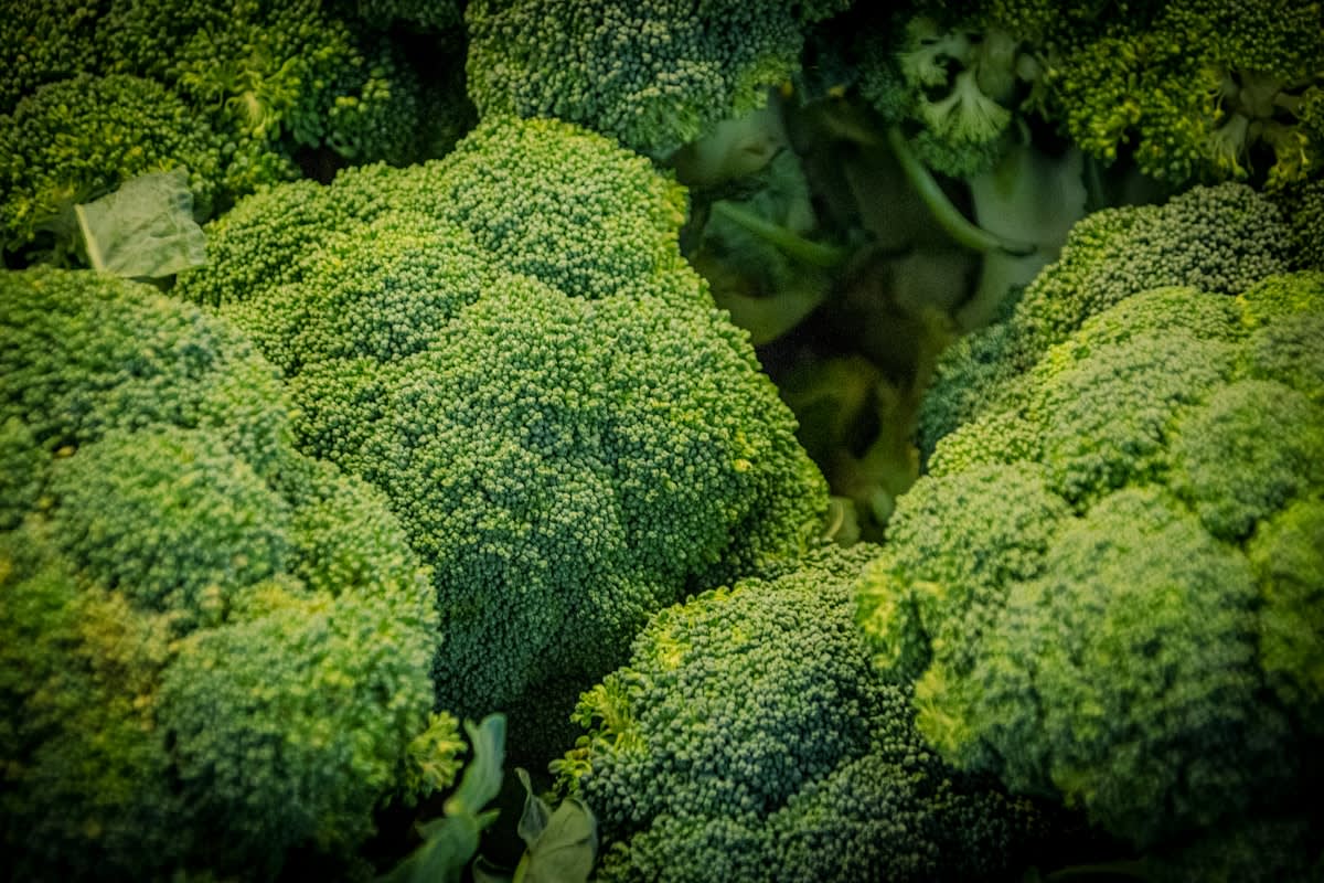 Fresh broccoli sprouts and healthy vegetables