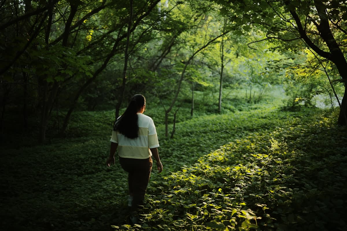 Person walking in a serene natural environment