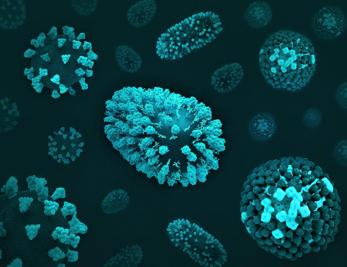 microscopic view of bacteria and viruses