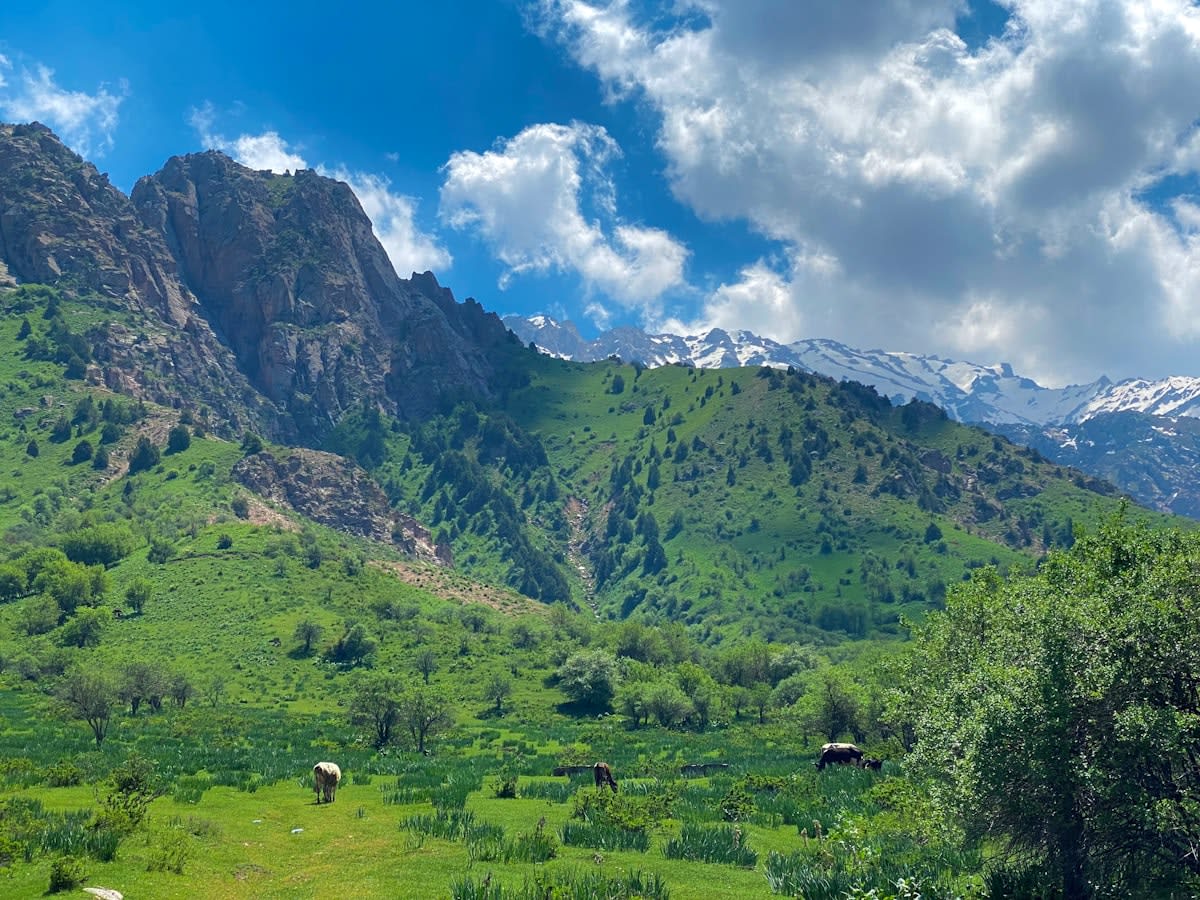Mountain landscape in Central Asia