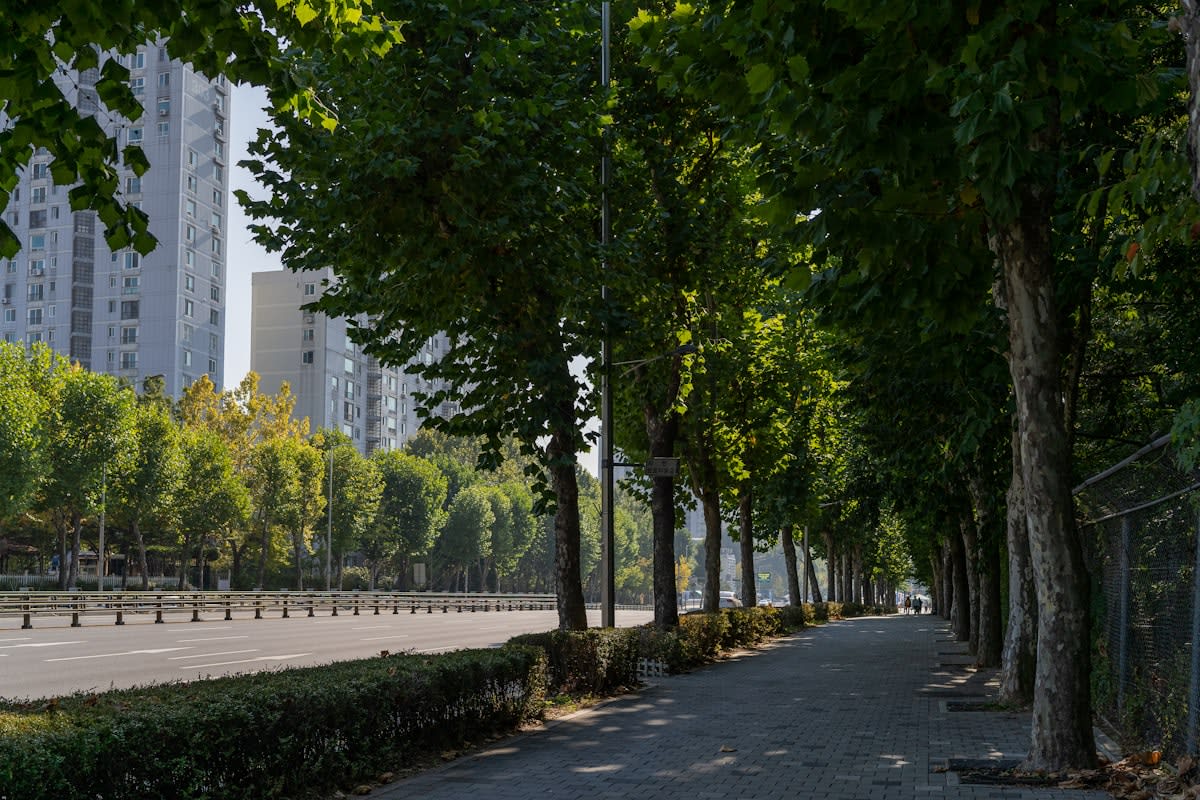 Modern city street with integrated green spaces