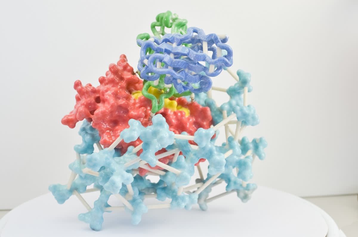 Microscopic crystalline structure of a metal organic framework