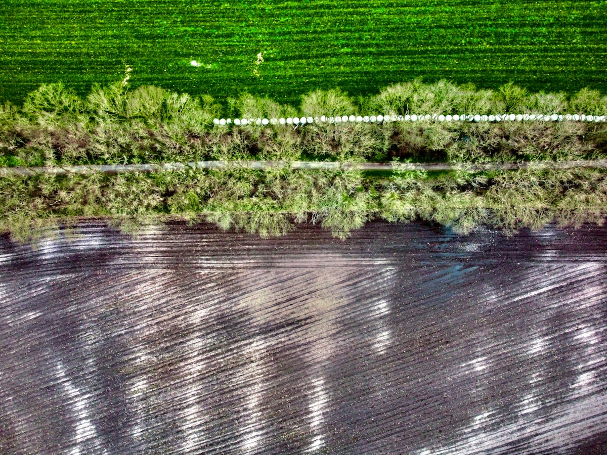 Aerial view of diverse landscape