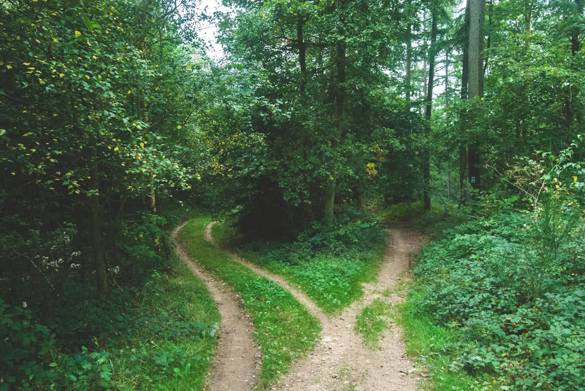 Abstract representation of a fork in the road merging into a single path