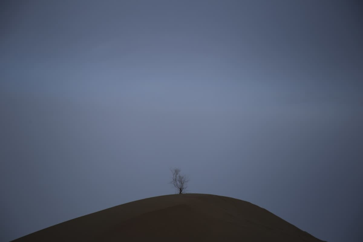 A person standing at a crossroads in a minimalist landscape