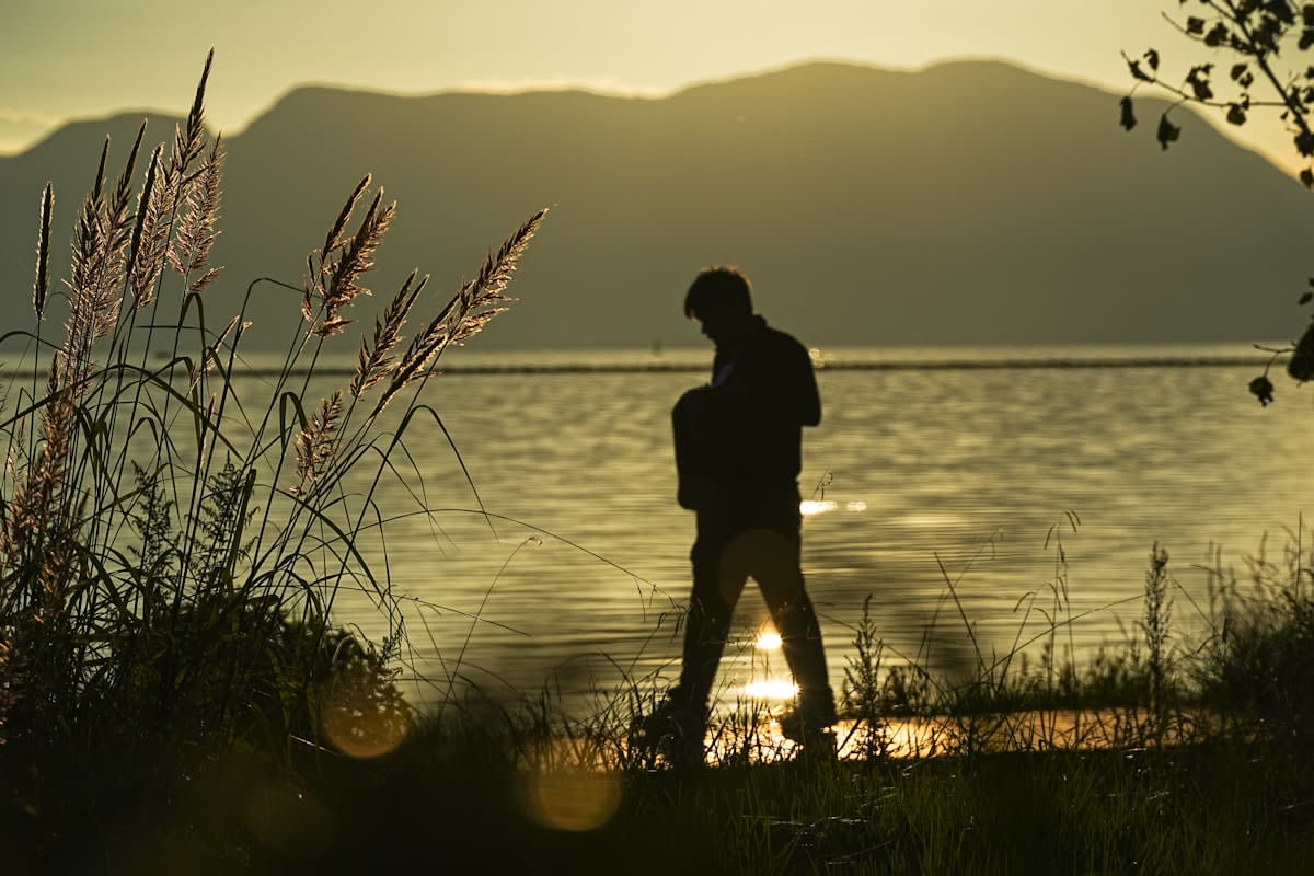 A serene person walking in a natural landscape during twilight