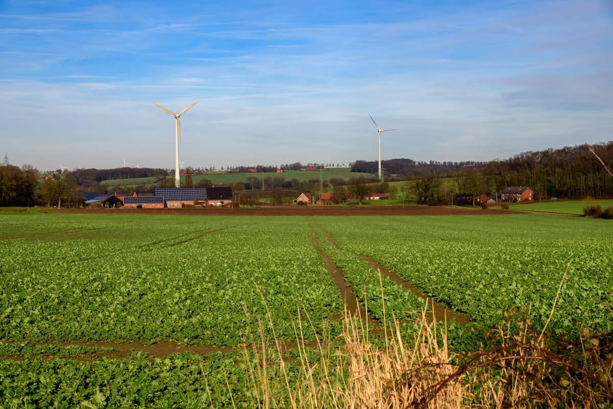 Renewable energy wind turbines and solar panels