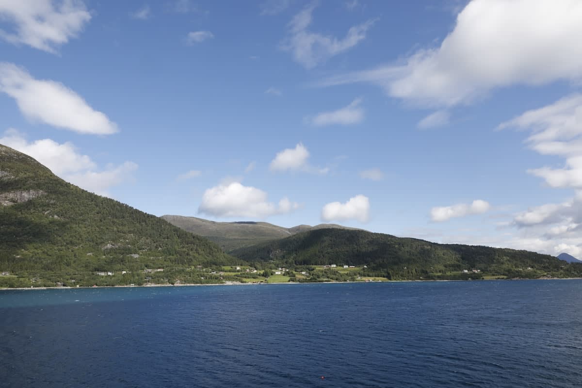 Lush green landscapes of a northern fjord under a soft sky