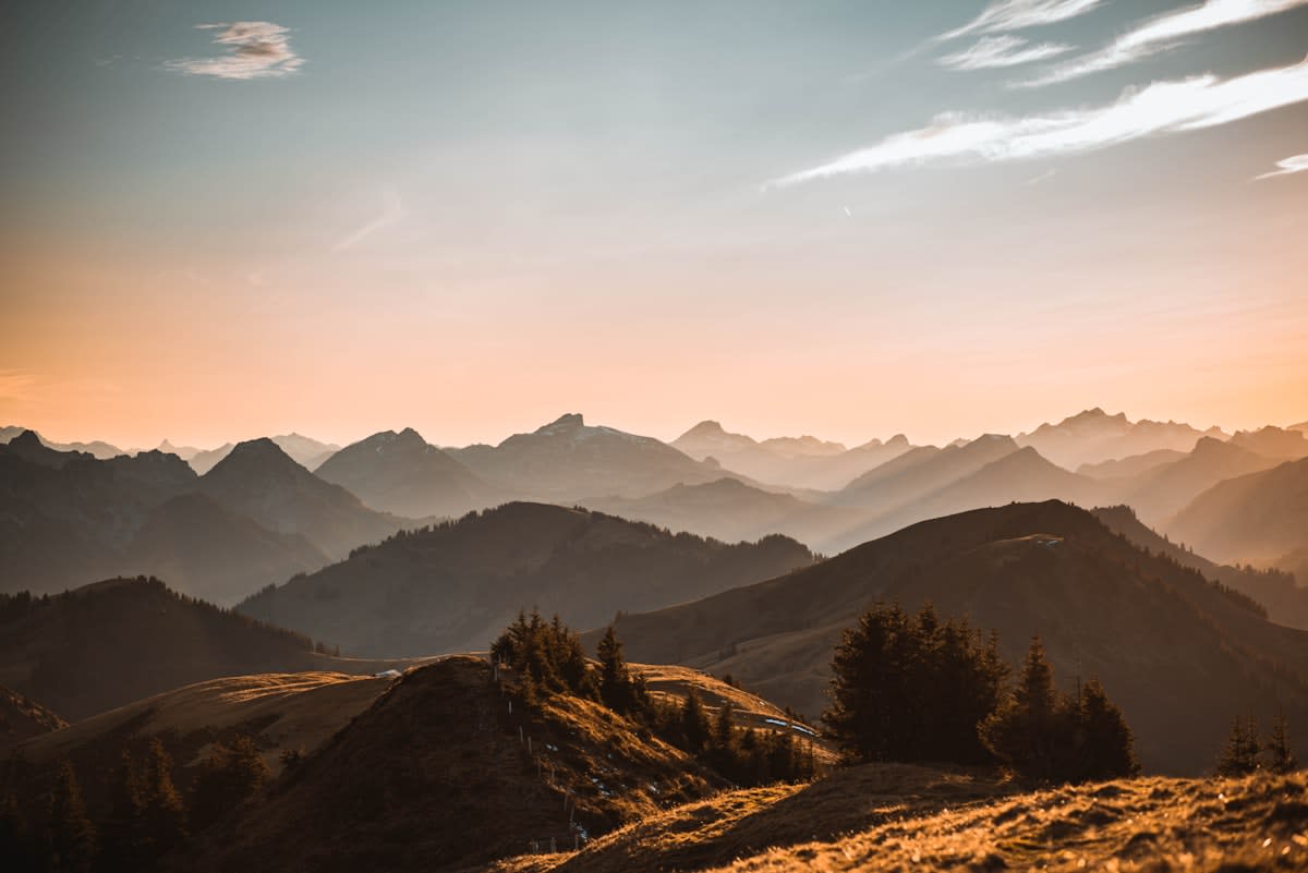 A vast, diverse mountain landscape representing a restored ecosystem