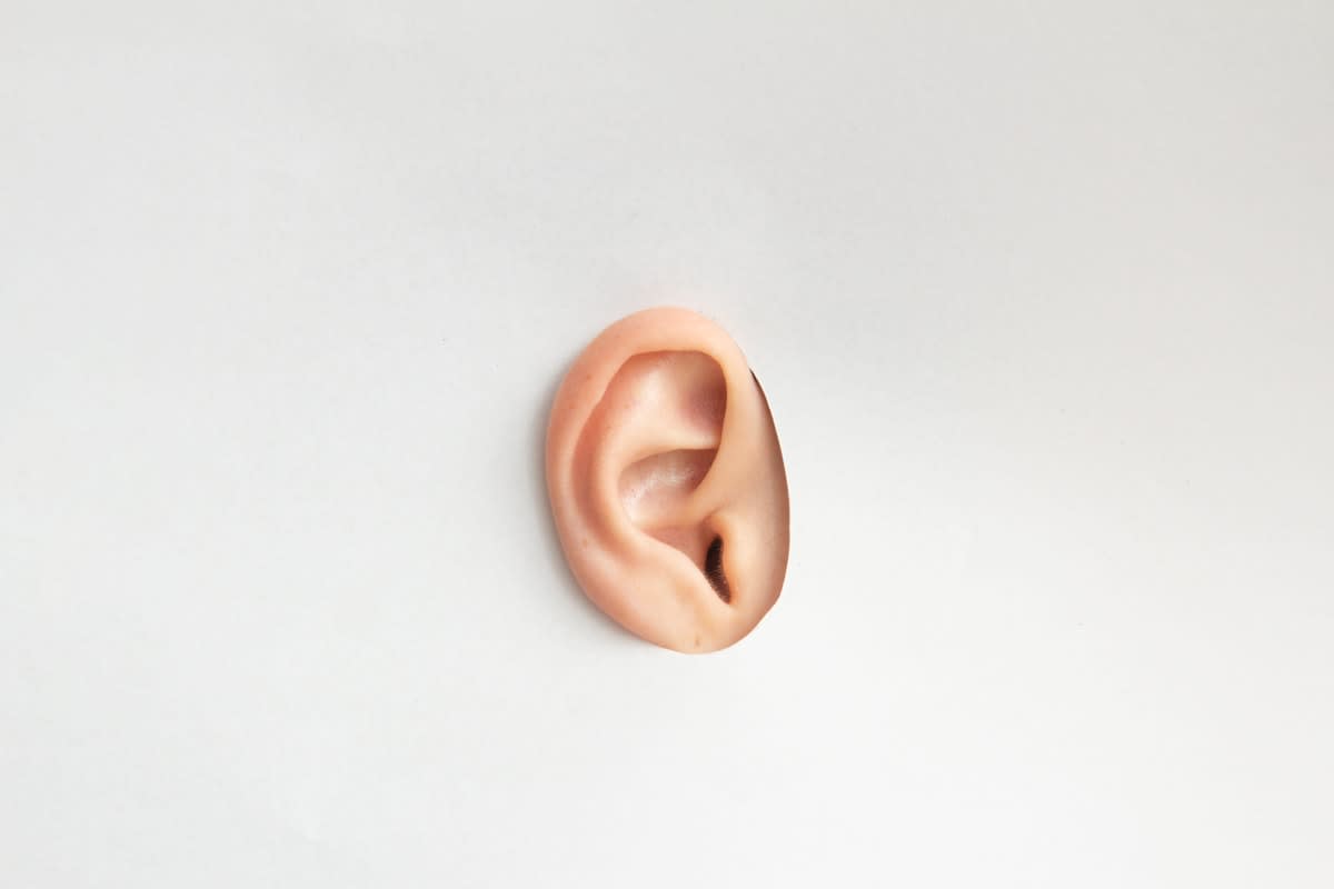 Close up of human ear showing auricular anatomy