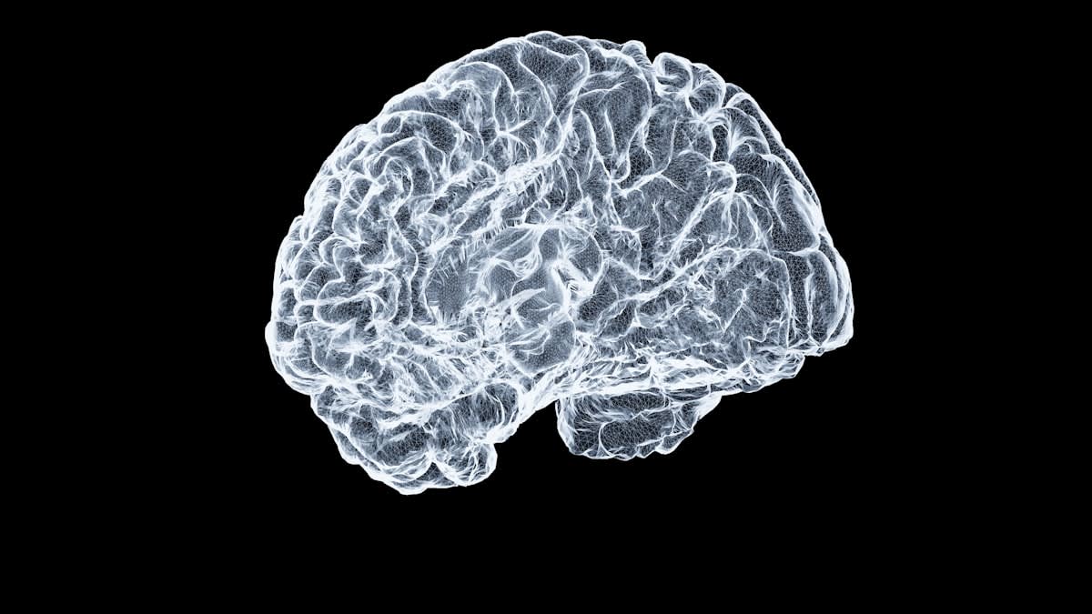 Brain network visualization showing predictive processing