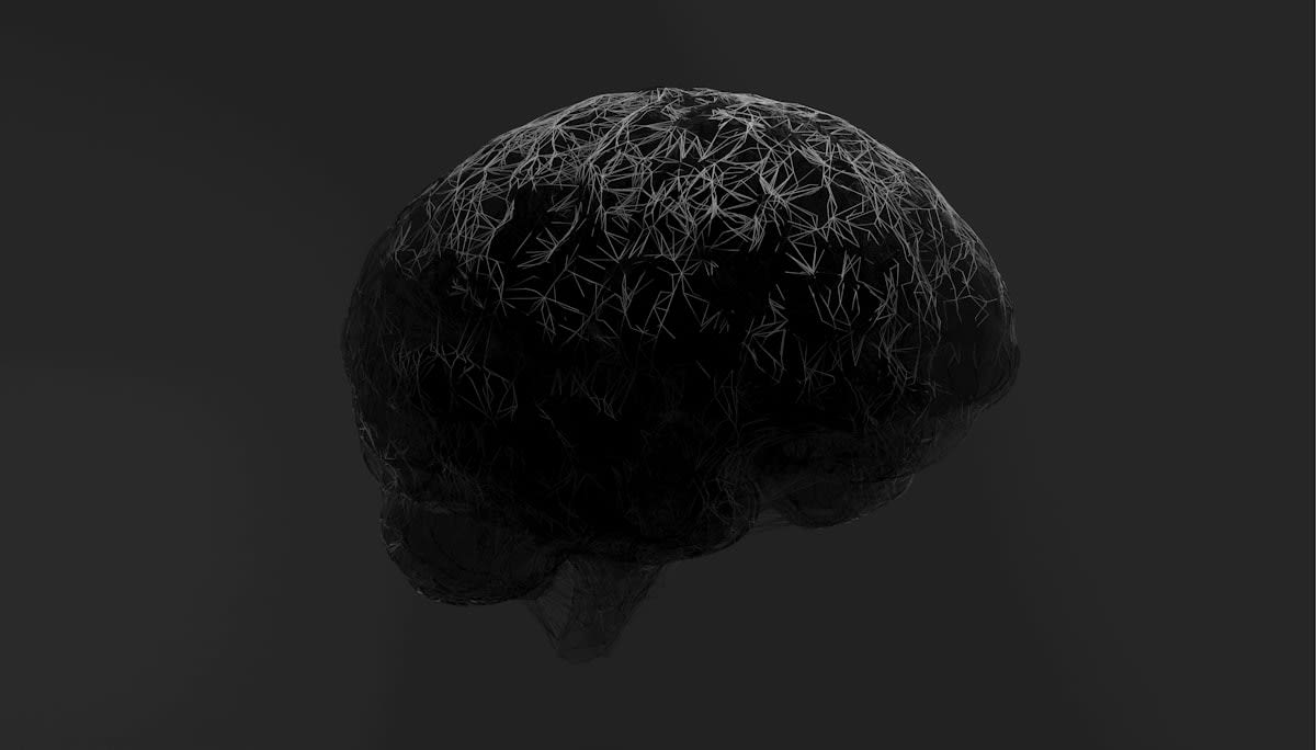 Infant brain development visualization