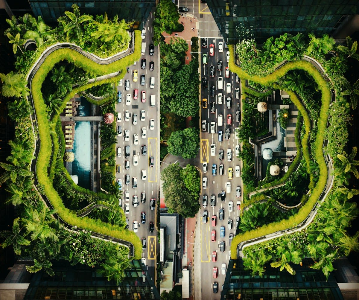 Aerial view of a green corridor cutting through a dense city