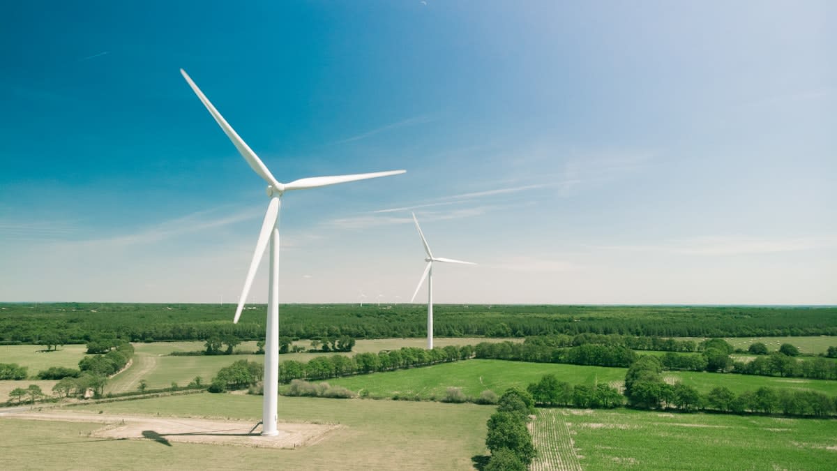 Wind turbines in a field