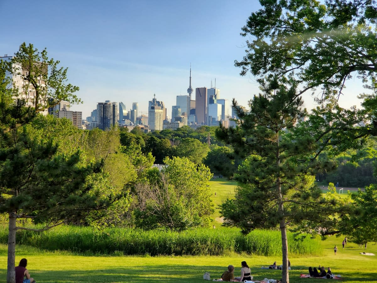 City park with diverse wildlife